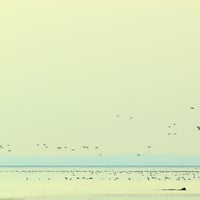Dpp 0028