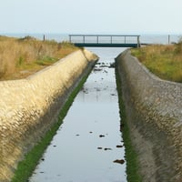 Dpp 0037